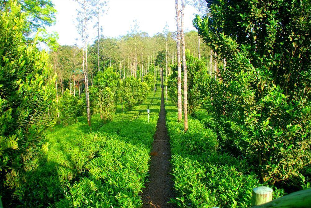 Dream Catcher Resort Munnar Exterior foto